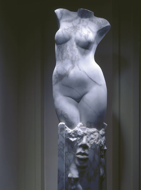 Vrouwelijk torso